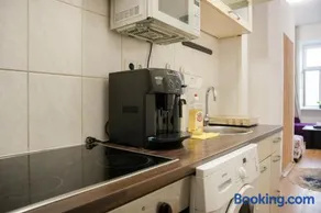 Elegant Apartments & Rooms Near Danube With Garden Access - Image 3