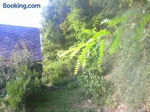 À flanc de colline - Image 1