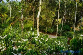 Skyleaf Resort - Image 3
