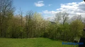 Lycorn - Image 2