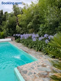 Laureles - Image 1