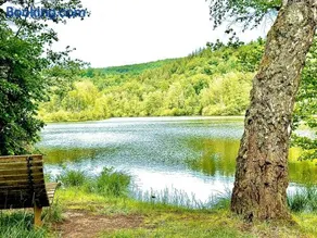 SeeHausLuwiRoyal - Image 3