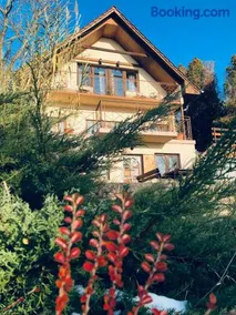 Repülőhal Apartmanház - Image 3