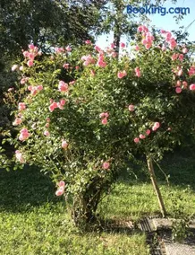 BELLAGIO casa con giardino e vista lago - Image 2