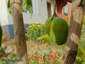 Saanjh Nature Retreat - Image 4