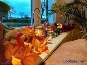 B&B Den Bruynen Bergh - Image 5