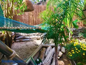 GRIMAUD Golfe Saint Tropez Rez de jardin Vue piscine - Image 2
