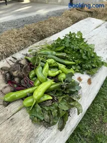 Winery Matisi - Image 2