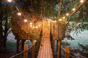La Pomme de Pin Perchée, cabane romantique pour 2 - Image 2