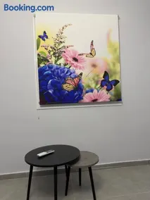 StayZeta Blue - Image 3