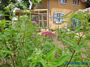 Sous les tilleuls - Image 3