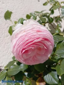 La Petite Rochette - Image 4