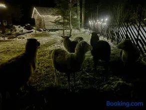 Mursuaho family stay - Image 4