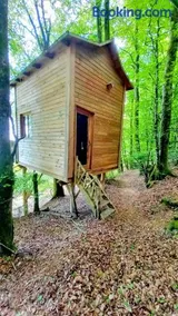 Cabane du Druide Domaine de Fangorn - Image 2
