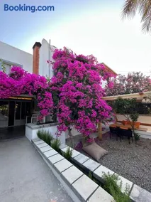 Mavi Lotus Pansiyon & Restorant - Image 5