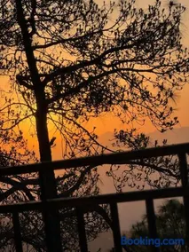 The Kalindi's Resort, Almora - Image 3