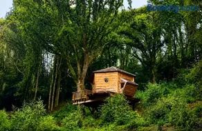 Cabane dans les arbres d'Ineas - Image 1