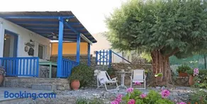 Little Blue - Image 1