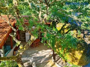 Casa do Penedo - Image 3