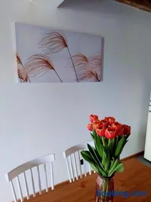 Na Miłej Nowęcin - Image 2