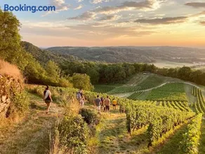Roulotte de charme au cœur des vignes, vue panoramique sur la vallée de l'ain - Image 3