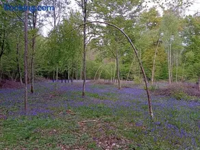 Le Clos Fleuri - Image 4