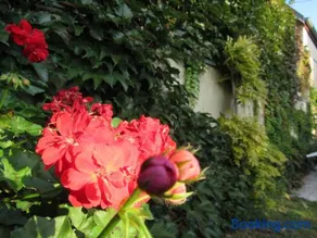 Maison d'hôtes La Ferme Pierre*** - Image 3