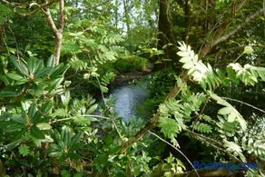 The Nest at Riverside Cottage - Image 2