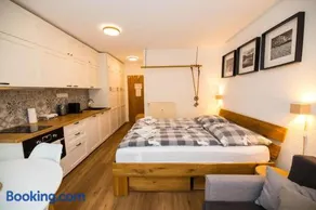 Studio Sumava-Bayerischer Wald - Image 4