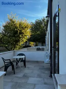 Bosco Elda - Image 5