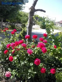 Apartment Marijan - Rtina - Image 3