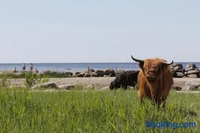 Kosmonautika Puhkekeskus - Image 3