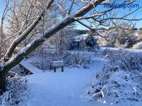 The Shepherd's Hut with seasonal swimming pool - Image 2