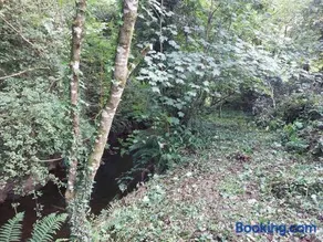 Home in Ennis - Image 5
