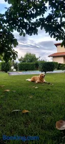 Sítio Encanto Singelo - Casa completa em condomínio com piscina aquecida e área gourmet - Image 3