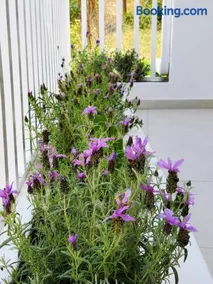 Oikos Apartments - Image 3