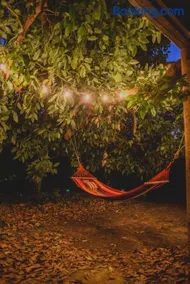 Irene's Treehouse - Image 3