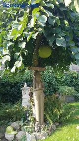 Stylisches Garden Cottage - Image 5