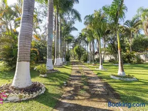 Piscina, jardim, área gourmet e vista arborizada - Image 4