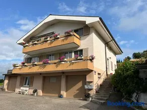 Swiss Alps - Image 4