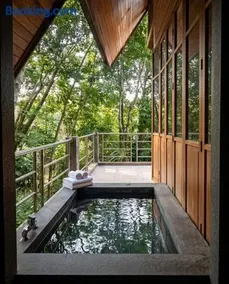 SN Garden - Image 4