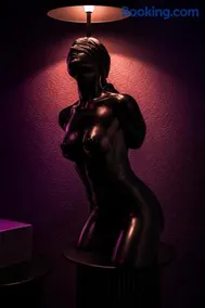 L'Atelier KUROI - Love Room BDSM - Balançoire, Banc de fessée, Cage, Croix, Tantra - Image 5