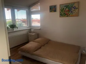 Living in the Gallery - Image 3