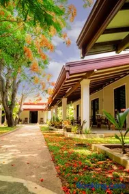 Peacock village and Spa - Image 3