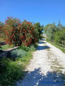 B&B Da Mariella - Image 2
