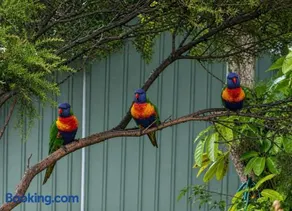 Batemans Bay Holiday Park & Hostel - Image 2