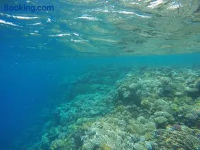 Star Of Dahab Hotel - Image 1