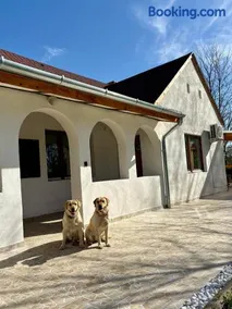 Sárffy Vendégház - Image 1