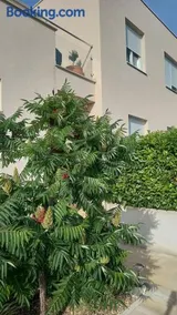 Apartment Dandelion - Image 3