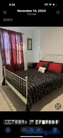 Homely - Image 4